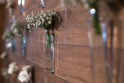 Close-up of potted plant hanging from door