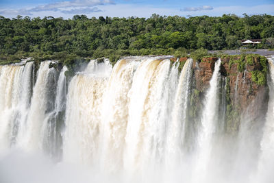 Scenic view of waterfall in forest