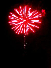 Firework display at night