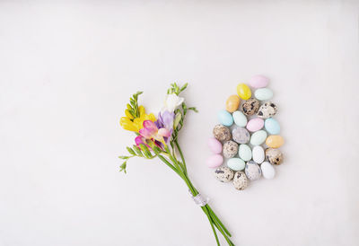 Directly above shot of multi colored flowers on white background