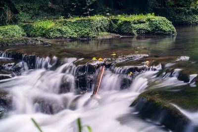 Scenic view of waterfall