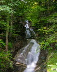 View of waterfall in forest