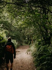 Rear view of woman walking in forest