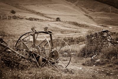 Bicycle parked in field
