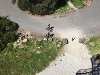 Directly above shot of men with bicycles on road