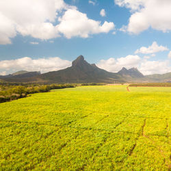 Scenic view of field against sky