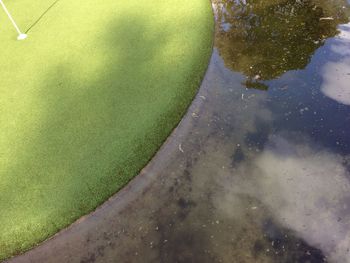 Reflection of tree in puddle