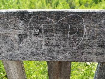 Close-up of heart shape on tree trunk