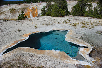 Hot spring at yellowstone national park
