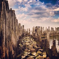 Wooden posts in river