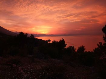 Scenic view of silhouette trees against sky during sunset