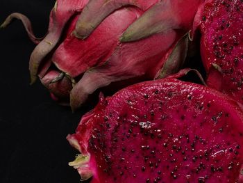 Close-up of red berries over black background
