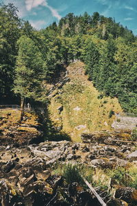 High angle view of trees on landscape against sky