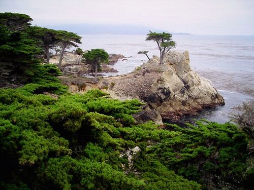 17 Mile Drive