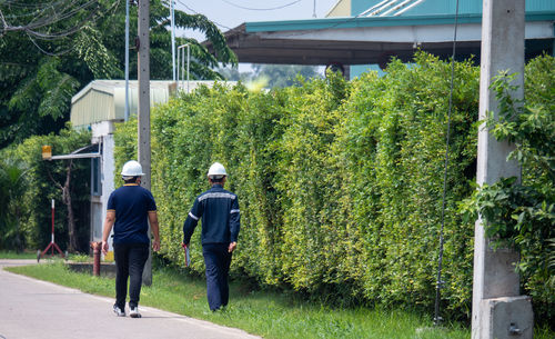 Rear view of man walking by plants