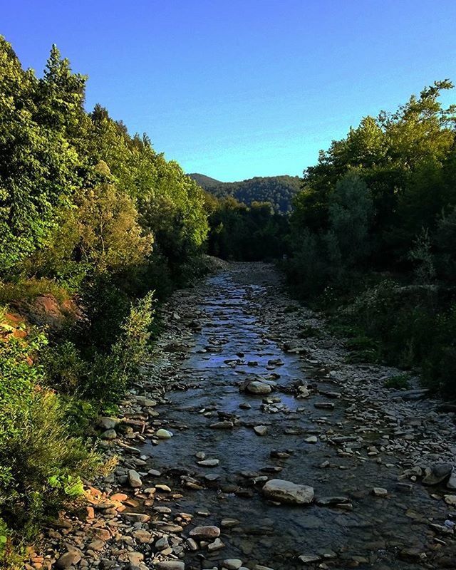 water, clear sky, tree, tranquility, tranquil scene, scenics, beauty in nature, nature, blue, growth, sky, river, stream, landscape, non-urban scene, day, plant, idyllic, sunlight, outdoors