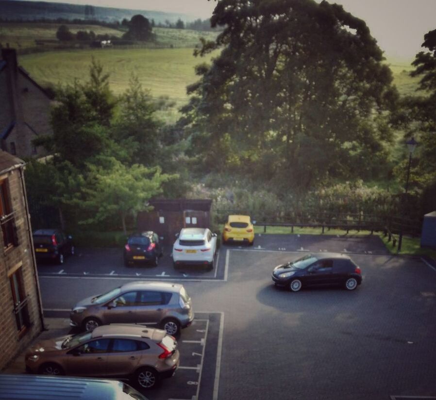 CARS ON STREET BY TREES IN CITY