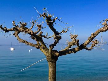 Scenic view of sea against clear blue sky