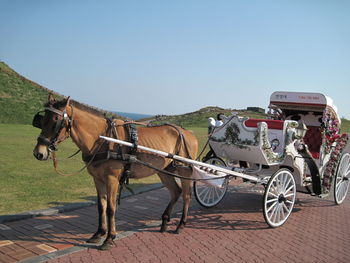 Horse cart against sky