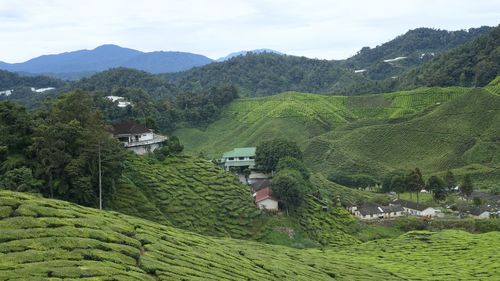 High angle view of green landscape against sky