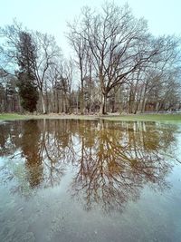 Reflection of bare trees in lake against sky