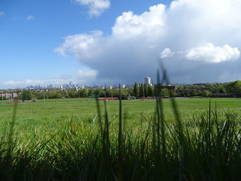 Scenic view of farm against sky