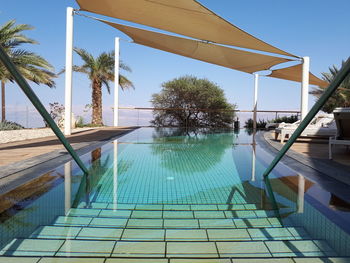 Palm trees by swimming pool against sky