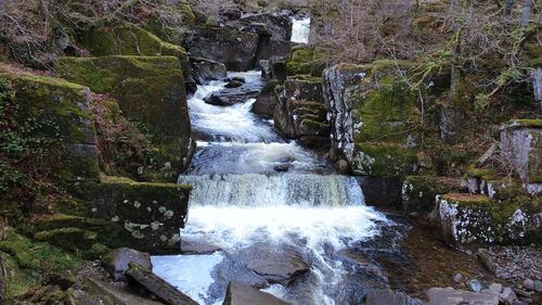 Water flowing through rocks by river in forest