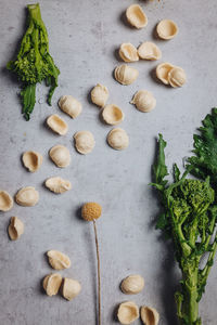 High angle view of vegetables on table