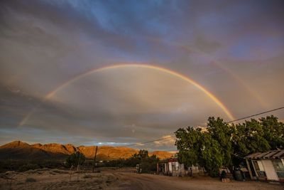 Scenic view of rainbow over trees against sky