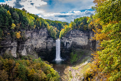 Scenic view of waterfall in forest