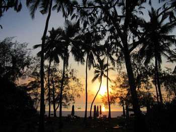 Silhouette palm trees against sky during sunset