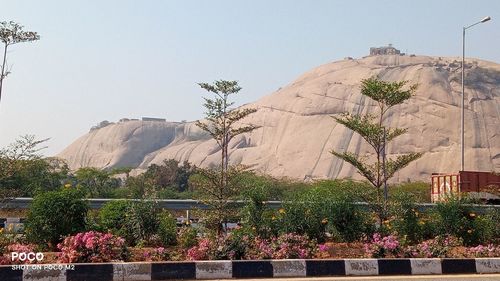 View of plants against cloudy sky