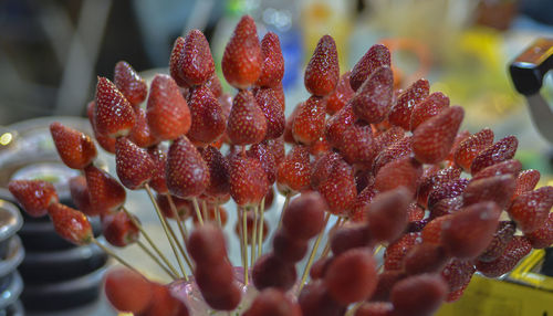 Close-up of coral in sea