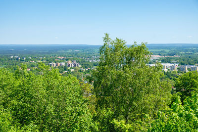 Trees and plants growing in city against clear sky