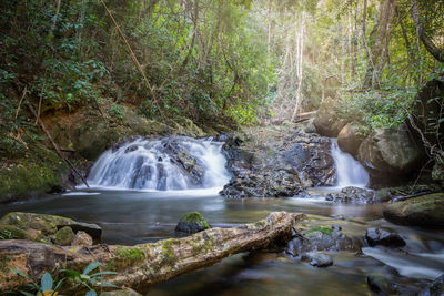 Scenic view of waterfall in forest