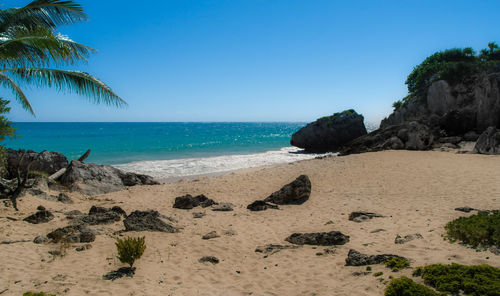 Scenic view of beach against clear blue sky