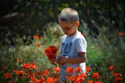 Full length of boy on flowering plants