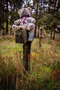View of painting on tree trunk in forest