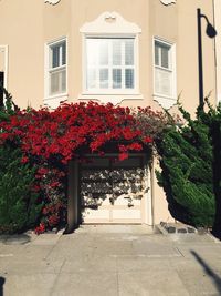 View of a building with red flowers