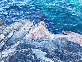 High angle view of rock in sea