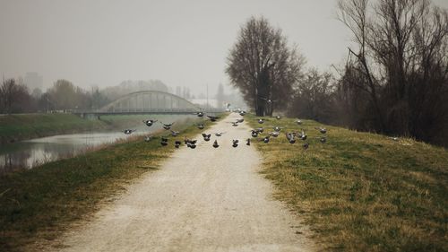 Scenic view of river against clear sky