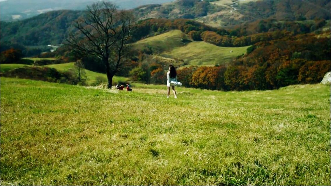 grass, domestic animals, animal themes, field, grassy, landscape, green color, one animal, mammal, full length, pets, dog, nature, tranquil scene, tree, tranquility, beauty in nature, walking, mountain, scenics