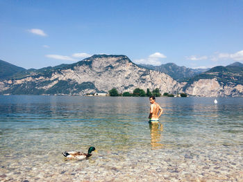 Ducks swimming on lake against mountain range