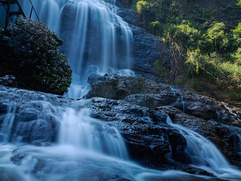 Scenic view of waterfall in forest