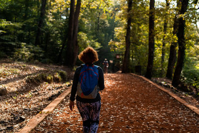 Rear view of woman walking on footpath amidst trees in forest