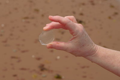 Cropped hand holding glass at beach