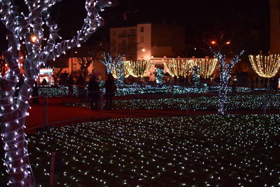 Illuminated lights at night