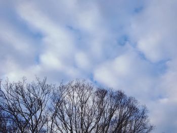 Low angle view of bare tree against cloudy sky