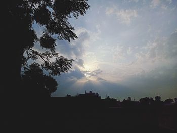 Silhouette trees and buildings against sky during sunset